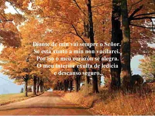 Diante de min vai sempre o Señor.  Se está xunto a min non vacilarei.  Por iso o meu corazón se alegra. O meu interior exulta de ledicia e descanso seguro. 