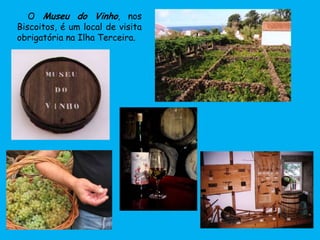 O Museu do Vinho, nos
Biscoitos, é um local de visita
obrigatória na Ilha Terceira.
 
