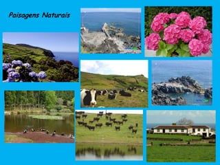 Paisagens Naturais
 
