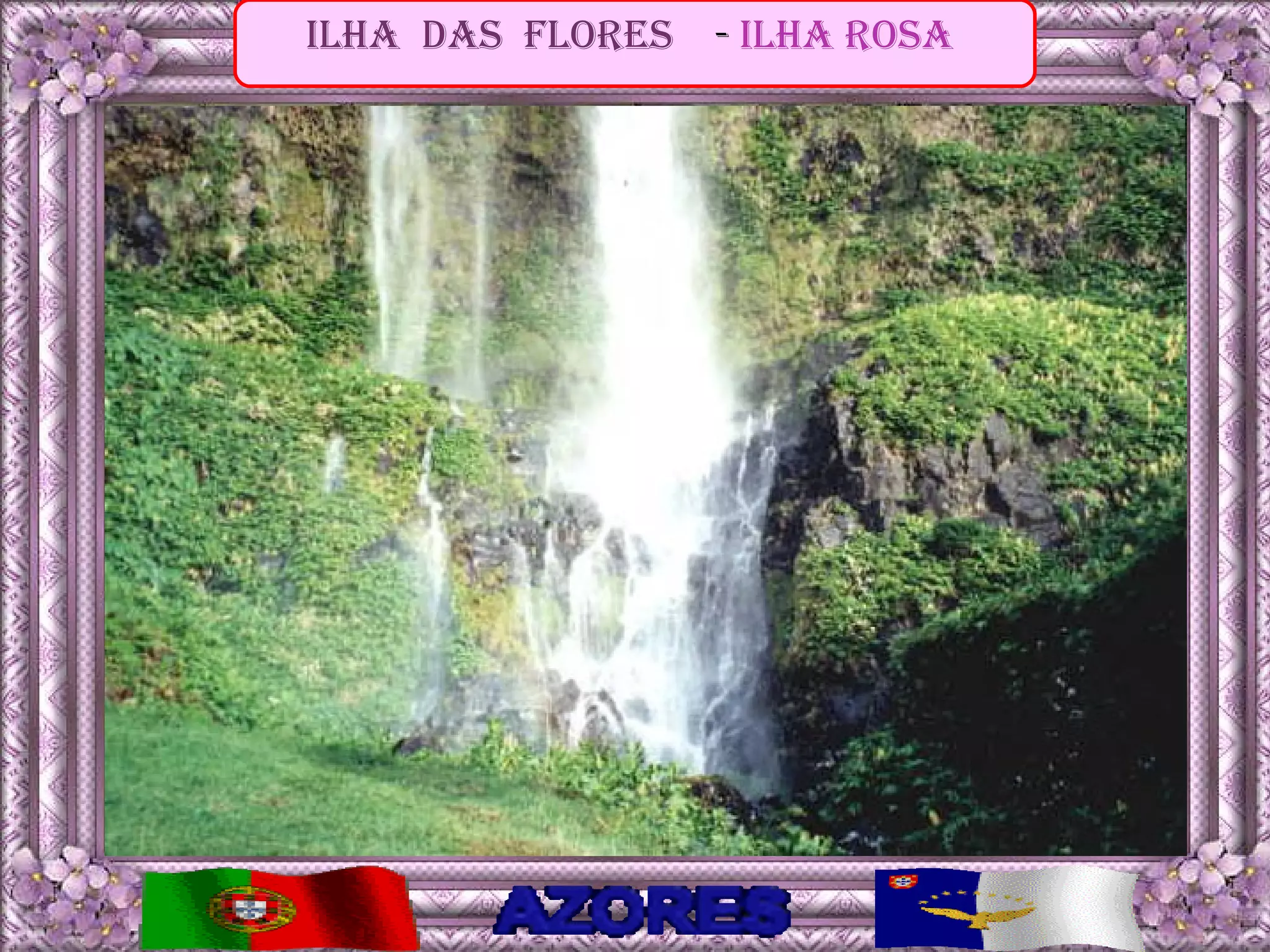 ilha das Flores   - ilha rosa
 