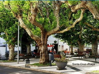 Santa Cruz -Praça 