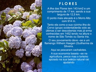 F L O R E S   A ilha das Flores tem 143 km2 e um comprimento de 17 km, sendo a sua largura de 12,5 km. O ponto mais elevado é o Morro Alto com 914 m. Tanto ela como a sua vizinha ilha do Corvo (grupo ocidental)terão sido as últimas a ser descobertas mas já erma conhecidas em 1452 tendo na altura o nome de São Tomás ou Santa Iria. O seu povoamento deve –se a um flamengo Wilhem Haegen (Guilherme da Silveira. Aqui se pescaram cachalotes. A sua economia baseia –se na agricultura, pesca mas o turismo apoiado na sua beleza natural vai ajudando 