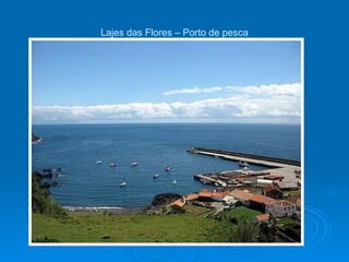 Lajes das Flores – Porto de pesca 
