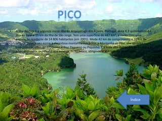 •   A Ilha do Pico é a segunda maior ilha do Arquipélago dos Açores, Portugal, dista 8,3 quilómetros da
    Ilha do Faial e 15 km da Ilha de São Jorge. Tem uma superfície de 447 km²; e conta com uma
    população residente de 14 806 habitantes (em 2001). Mede 42 km de comprimento e 20 km de
    largura. Deve o seu nome à majestosa montanha vulcânica, a Montanha do Pico, que termina num
    pico pronunciado cujo topónimo é Pico Pequeno ou Piquinho. É a mais alta montanha de Portugal e
    a terceira maior montanha que emerge do Atlântico, atingindo 2 351 metros de altitude.




                                                                                       Índice
 