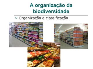A organização da
           biodiversidade
   Organização e classificação
 