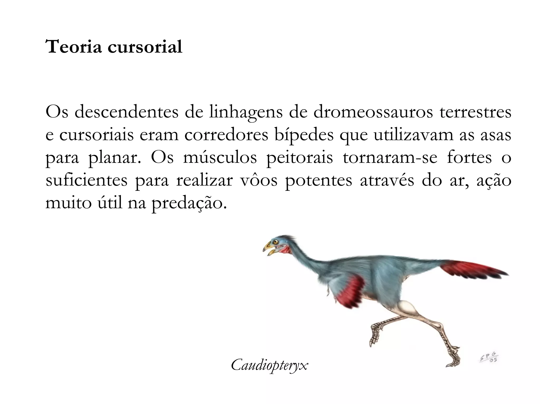 A Origem da Aves | PDF
