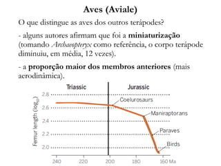 Aves (Aviale)
O que distingue as aves dos outros terápodes?
- alguns autores afirmam que foi a miniaturização
(tomando Archaeopteryx como referência, o corpo terápode
diminuiu, em média, 12 vezes).
- a proporção maior dos membros anteriores (mais
aerodinâmica).
 