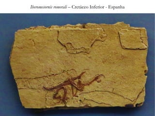 Iberomesornis romerali – Cretáceo Inferior - Espanha
 