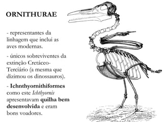 ORNITHURAE
- representantes da
linhagem que inclui as
aves modernas.
- únicos sobreviventes da
extinção Cretáceo-
Terciário (a mesma que
dizimou os dinossauros).
- Ichnthyornithiformes
como este Ichthyornis
apresentavam quilha bem
desenvolvida e eram
bons voadores.
 