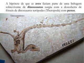 A hipótese de que as aves faziam parte de uma linhagem
sobrevivente de dinossauros surgiu com a descoberta de
fósseis de dinossauros terópodes (Theropoda) com penas.
Sinosauropteryx
 