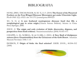 BIBLIOGRAFIA
HONE, DWE; TISCHLINGER, H; XU X, Z. F. (2010) The Extent of the Preserved
Feathers on the Four-Winged Dinosaur Microraptor gui under Ultraviolet Light.
PLoS ONE 5(2): e9223. doi: 10.1371/journal.pone.0009223
XU, X. Et al. A new feathered maniraptoran dinosaur fossil that fills a
morphological gap in avian origin.(Chinese Science Bulletin). Science in China
Press/Springer, 2008.
ZHOU, Z. The origin and early evolution of birds: discoveries, disputes, and
perspectives from fossil evidence. Naturwissenschaften (2004) 91:455–471
CHIAPPE, L. M.; NORELL, M. & CLARK, J. (2001): A New Skull of Gobipteryx
minuta (Aves: Enantiornithes) from the Cretaceous of the Gobi Desert. American
Museum Novitates 3346: 1–15
DODSON, P. Origin of birds: the final solution? AMER. ZOOL., 40:504–512
(2000)
 