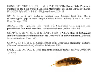 HONE, DWE; TISCHLINGER, H; XU X, Z. F. (2010) The Extent of the Preserved
Feathers on the Four-Winged Dinosaur Microraptor gui under Ultraviolet Light.
PLoS ONE 5(2): e9223. doi: 10.1371/journal.pone.0009223
XU, X. Et al. A new feathered maniraptoran dinosaur fossil that fills a
morphological gap in avian origin.(Chinese Science Bulletin). Science in China
Press/Springer, 2008.
ZHOU, Z. The origin and early evolution of birds: discoveries, disputes, and
perspectives from fossil evidence. Naturwissenschaften (2004) 91:455–471
CHIAPPE, L. M.; NORELL, M. & CLARK, J. (2001): A New Skull of Gobipteryx
minuta (Aves: Enantiornithes) from the Cretaceous of the Gobi Desert. American
Museum Novitates 3346: 1–15
CARVALHO, I. S. et al. A Mesozoic bird from Gondwana preserving feathers.
(Nature Commmunications) Macmillan Publishers, 2015.
SANS, J. L. & ORTEGA, F. (org.) The birds from Las Hoyas. Sci Prog. 2002;85(Pt
2):113-30.
 