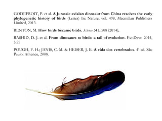 GODEFROIT, P. et al. A Jurassic avialan dinosaur from China resolves the early
phylogenetic history of birds (Letter) In: Nature, vol. 498, Macmillan Publishers
Limited, 2013.
BENTON, M. How birds became birds. Science 345, 508 (2014);
RASHID, D. J. et al. From dinosaurs to birds: a tail of evolution. EvoDevo 2014,
5:25
POUGH, F. H.; JANIS, C. M. & HEISER, J. B. A vida dos vertebrados. 4ª ed. São
Paulo: Atheneu, 2008.
 