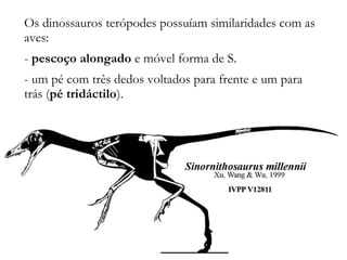 Os dinossauros terópodes possuíam similaridades com as
aves:
- pescoço alongado e móvel forma de S.
- um pé com três dedos voltados para frente e um para
trás (pé tridáctilo).
 