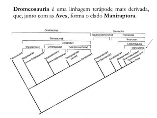 Dromeosauria é uma linhagem terápode mais derivada,
que, junto com as Aves, forma o clado Maniraptora.
 