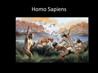 Homo Sapiens
 