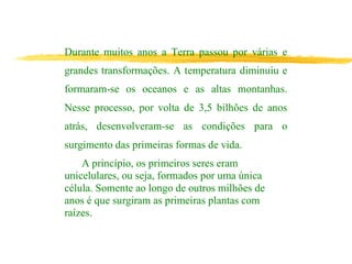 Durante muitos anos a Terra passou por várias e
grandes transformações. A temperatura diminuiu e
formaram-se os oceanos e as altas montanhas.
Nesse processo, por volta de 3,5 bilhões de anos
atrás, desenvolveram-se as condições para o
surgimento das primeiras formas de vida.
A princípio, os primeiros seres eram
unicelulares, ou seja, formados por uma única
célula. Somente ao longo de outros milhões de
anos é que surgiram as primeiras plantas com
raízes.
 