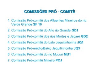 COMISSÕES PRÓ - COMITÊ

1. Comissão Pró-comitê dos Afluentes Mineiros do rio
   Verde Grande SF 10
2. Comissão Pró-comitê do Alto rio Grande GD1
3. Comissão Pró-comitê dos rios Mortes e Jacaré GD2
4. Comissão Pró-comitê do Lato Jequitinhonha JQ1
5. Comissão Pró-médio/Baixo Jequitinhonha JQ3
6. Comissão Pró-comitê do rio Mucuri MU1
7. Comissão Pró-comitê Mineiro PCJ
 