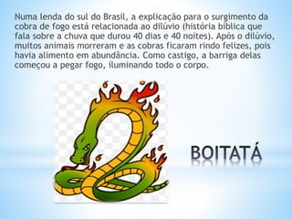 Numa lenda do sul do Brasil, a explicação para o surgimento da 
cobra de fogo está relacionada ao dilúvio (história bíblica que 
fala sobre a chuva que durou 40 dias e 40 noites). Após o dilúvio, 
muitos animais morreram e as cobras ficaram rindo felizes, pois 
havia alimento em abundância. Como castigo, a barriga delas 
começou a pegar fogo, iluminando todo o corpo. 
 