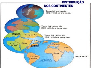 DISTRIBUIÇÃO
DOS CONTINENTES
 