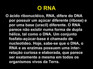 O RNA O ácido ribonucléico, RNA, difere do DNA por possuir um açúcar diferente (ribose) e por uma base (uracil) diferente. O RNA parece não existir numa forma de dupla hélice, tal como o DNA. Um conjunto fosfato-açúcar-base é chamado de nucleotídeo. Hoje, sabe-se que o DNA, o RNA e as enzimas possuem uma inter-relação curiosa e elaborada, que parece ser exatamente a mesma em todos os organismos vivos da Terra. 