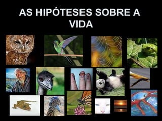 AS HIPÓTESES SOBRE A  VIDA 