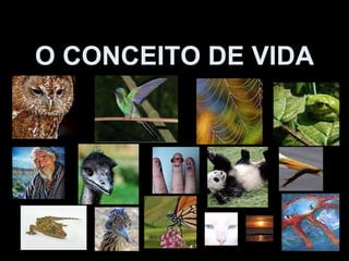 O CONCEITO DE VIDA 
