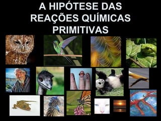 A HIPÓTESE DAS REAÇÕES QUÍMICAS PRIMITIVAS 