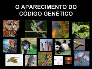 O APARECIMENTO DO CÓDIGO GENÉTICO 