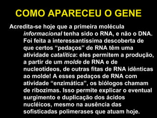 COMO APARECEU O GENE Acredita-se hoje que a primeira molécula  informacional  tenha sido o RNA, e não o DNA. Foi feita a interessantíssima descoberta de que certos “pedaços” de RNA têm uma atividade  catalítica : eles permitem a produção, a partir de um  molde  de RNA e de nucleotídeos, de outras fitas de RNA idênticas ao molde! A esses pedaços de RNA com atividade “enzimática”, os biólogos chamam de ribozimas. Isso permite explicar o eventual surgimento e duplicação dos ácidos nucléicos, mesmo na ausência das sofisticadas polimerases que atuam hoje. 