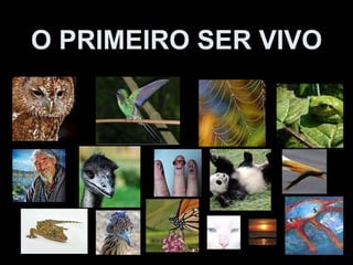 O PRIMEIRO SER VIVO 