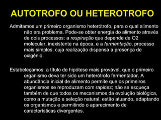 AUTOTROFO OU HETEROTROFO Admitamos um primeiro organismo heterótrofo, para o qual alimento não era problema. Pode-se obter energia do alimento através de dois processos: a  respiração  que depende de O2 molecular, inexistente na época, e a  fermentação , processo mais simples, cuja realização dispensa a presença de oxigênio. Estabeleçamos, a título de hipótese mais provável, que o primeiro organismo deva ter sido um heterótrofo fermentador. A abundância inicial de alimento permite que os primeiros organismos se reproduzam com rapidez; não se esqueça também de que todos os mecanismos da evolução biológica, como a mutação e seleção natural, estão atuando, adaptando os organismos e permitindo o aparecimento de características divergentes. 