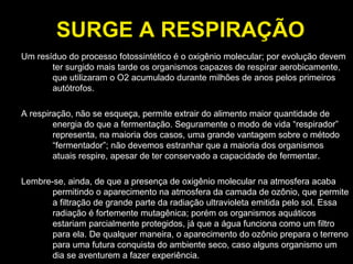 SURGE A RESPIRAÇÃO Um resíduo do processo fotossintético é o oxigênio molecular; por evolução devem ter surgido mais tarde os organismos capazes de respirar aerobicamente, que utilizaram o O2 acumulado durante milhões de anos pelos primeiros autótrofos. A respiração, não se esqueça, permite extrair do alimento maior quantidade de energia do que a fermentação. Seguramente o modo de vida “respirador” representa, na maioria dos casos, uma grande vantagem sobre o método “fermentador”; não devemos estranhar que a maioria dos organismos atuais respire, apesar de ter conservado a capacidade de fermentar. Lembre-se, ainda, de que a presença de oxigênio molecular na atmosfera acaba permitindo o aparecimento na atmosfera da camada de ozônio, que permite a filtração de grande parte da radiação ultravioleta emitida pelo sol. Essa radiação é fortemente mutagênica; porém os organismos aquáticos estariam parcialmente protegidos, já que a água funciona como um filtro para ela. De qualquer maneira, o aparecimento do ozônio prepara o terreno para uma futura conquista do ambiente seco, caso alguns organismo um dia se aventurem a fazer experiência.  