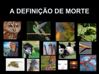 A DEFINIÇÃO DE MORTE 