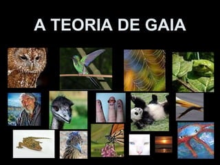 A TEORIA DE GAIA 