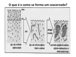 O que é e como se forma um coacervado?
 