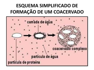 ESQUEMA SIMPLIFICADO DE
FORMAÇÃO DE UM COACERVADO
 
