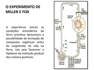 O EXPERIMENTO DE
MILLER E FOX


A experiência simula as
condições atmosférica da
Terra primitiva demonstra a
possibilidade de formação de
compostos orgânicos antes
do surgimento da vida na
Terra. Isto veio favorecer a
hipótese da evolução gradual
dos sistema químicos.
 