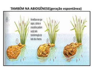 TAMBÉM NA ABIOGÊNESE(geração espontânea)
 