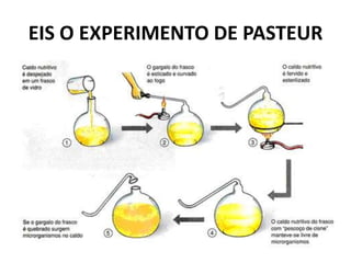 EIS O EXPERIMENTO DE PASTEUR
 
