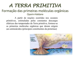 A TERRA PRIMITIVA
Formação das primeiras moléculas orgânicas
Oparin-Haldane
A partir de reações ocorridas nos oceanos
primitivos, estimuladas pelas constantes descargas
elétricas das tempestades da Terra primitiva, formou-se
as primeiras moléculas orgânicas que deram origem
aos aminoácidos (principais constituintes da proteínas)

 