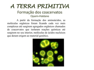 A TERRA PRIMITIVA
Formação dos coacervatos
Oparin-Haldane
A partir da formação dos aminoácidos, as
moléculas orgânicas foram ficando cada vez mais
complexas até surgirem agregados orgânicos chamados
de coacervatos que isolaram reações químicas até
surgirem no seu interior, moléculas de ácidos nucleicos
que deram origem ao material genético.

 
