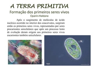 A TERRA PRIMITIVA
Formação dos primeiros seres vivos
Oparin-Haldane
Após o surgimento de moléculas de ácido
nucleico ocorrido no interior dos coacervatos, surgiram
então os primeiros seres vivos, representados por seres
procariontes unicelulares que após um processo lento
de evolução deram origem aos primeiros seres vivos
eucariontes também unicelulares.

 