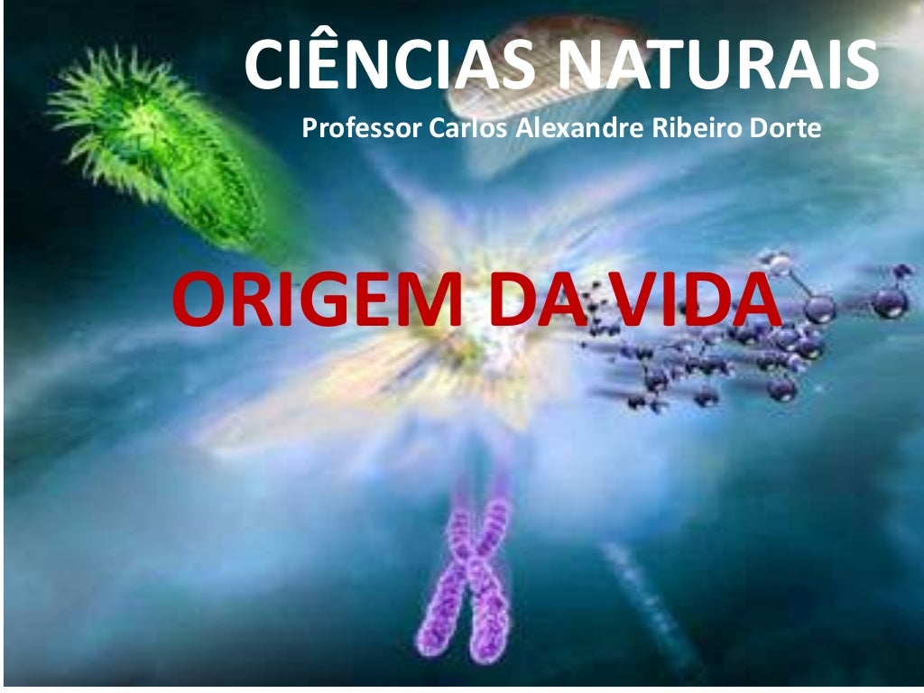 A Origem Da Vida Atribuída A Um Ser Criador é