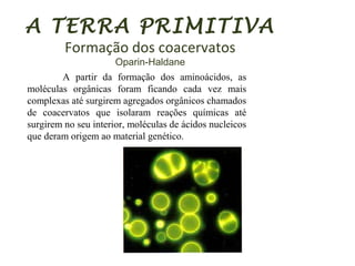A TERRA PRIMITIVA
Formação dos coacervatos
Oparin-Haldane
A partir da formação dos aminoácidos, as
moléculas orgânicas foram ficando cada vez mais
complexas até surgirem agregados orgânicos chamados
de coacervatos que isolaram reações químicas até
surgirem no seu interior, moléculas de ácidos nucleicos
que deram origem ao material genético.
 