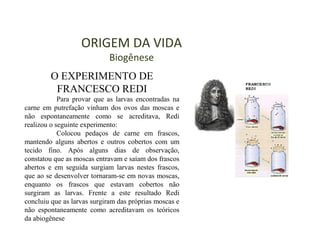 ORIGEM DA VIDA
Biogênese
O EXPERIMENTO DE
FRANCESCO REDI
Para provar que as larvas encontradas na
carne em putrefação vinham dos ovos das moscas e
não espontaneamente como se acreditava, Redi
realizou o seguinte experimento:
Colocou pedaços de carne em frascos,
mantendo alguns abertos e outros cobertos com um
tecido fino. Após alguns dias de observação,
constatou que as moscas entravam e saíam dos frascos
abertos e em seguida surgiam larvas nestes frascos,
que ao se desenvolver tornaram-se em novas moscas,
enquanto os frascos que estavam cobertos não
surgiram as larvas. Frente a este resultado Redi
concluiu que as larvas surgiram das próprias moscas e
não espontaneamente como acreditavam os teóricos
da abiogênese
 