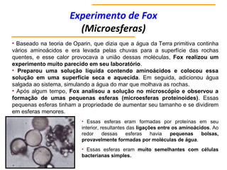 Experimento de Fox
(Microesferas)
• Baseado na teoria de Oparin, que dizia que a água da Terra primitiva continha
vários aminoácidos e era levada pelas chuvas para a superfície das rochas
quentes, e esse calor provocava a união dessas moléculas, Fox realizou um
experimento muito parecido em seu laboratório.
• Preparou uma solução líquida contendo aminoácidos e colocou essa
solução em uma superfície seca e aquecida. Em seguida, adicionou água
salgada ao sistema, simulando a água do mar que molhava as rochas.
• Após algum tempo, Fox analisou a solução no microscópio e observou a
formação de umas pequenas esferas (microesferas proteinoides). Essas
pequenas esferas tinham a propriedade de aumentar seu tamanho e se dividirem
em esferas menores.
• Essas esferas eram formadas por proteínas em seu
interior, resultantes das ligações entre os aminoácidos. Ao
redor dessas esferas havia pequenas bolsas,
provavelmente formadas por moléculas de água.
• Essas esferas eram muito semelhantes com células
bacterianas simples.
 