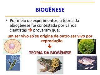 BIOGÊNESE
• Por meio de experimentos, a teoria da
abiogênese foi contestada por vários
cientistas  provaram que:
um ser vivo só se origina de outro ser vivo por
reprodução

TEORIA DA BIOGÊNESETEORIA DA BIOGÊNESE
www.bioloja.com
 