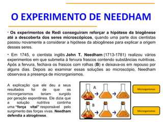 • Os experimentos de Redi conseguiram reforçar a hipótese da biogênese
até a descoberta dos seres microscópicos, quando uma parte dos cientistas
passou novamente a considerar a hipótese da abiogênese para explicar a origem
desses seres.
• Em 1745, o cientista inglês John T. Needham (1713-1781) realizou vários
experimentos em que submetia à fervura frascos contendo substâncias nutritivas.
Após a fervura, fechava os frascos com rolhas (B) e deixava-os em repouso por
alguns dias. Depois ao examinar essas soluções ao microscópio, Needham
observava a presença de microrganismos.
A explicação que ele deu a seus
resultados foi de que os
microrganismos teriam surgido
por geração espontânea. Ele dizia que
a solução nutritiva continha
uma “força vital” responsável pelo
surgimento das forças vivas. Needham
defendia a abiogênese.
Microrganismos
Microrganismos
 