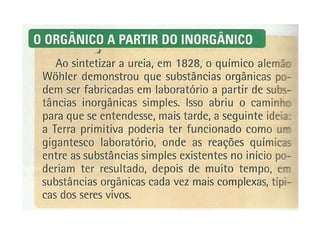 Origem por Evolução Química
 